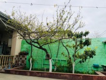 Satılır Həyət evi, Nizami.r, Keşlə, N.Nərmanov.m-11