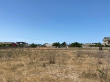 torpaq satışı şüvəlan, -5