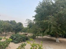 merdekan torpaq sahesi, -2