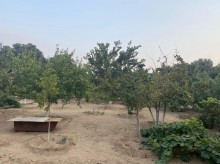 merdekan torpaq sahesi, -9