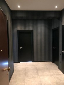 Kirayə (Aylıq) Yeni Tikili, Nəsimi.r-10