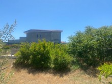 Satılır Torpaq, Xəzər.r, Şağan, Koroğlu.m-1