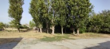 Satılır Torpaq, Xəzər.r, Binə, Koroğlu.m-3