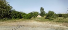 Satılır Torpaq, Xəzər.r, Binə, Koroğlu.m-7