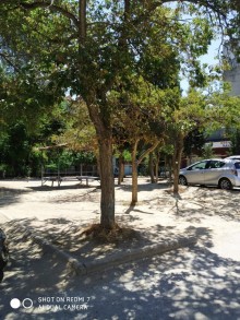 Qarayevde 3 otaqli kohne menziller, -5
