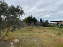 Satılır Torpaq, Xəzər.r, Mərdəkan, Koroğlu.m-1