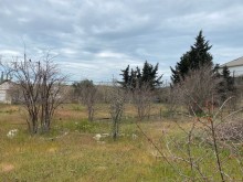 Satılır Torpaq, Xəzər.r, Mərdəkan, Koroğlu.m-7