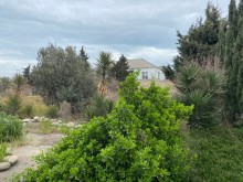 Satılır Torpaq, Xəzər.r, Mərdəkan, Koroğlu.m-13