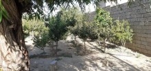 ZAbratda evlerin satisi 60.000 azn, -10