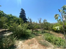 suvelanda torpaq sahesi, -1