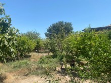 suvelanda torpaq sahesi, -5