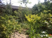 şüvəlan villa elanları, -14