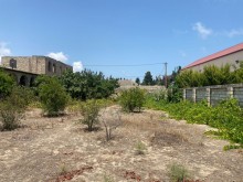 mərdəkanda satılan torpaq, -3