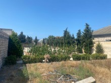 Satılır Torpaq, Xəzər.r, Mərdəkan, Koroğlu.m-5