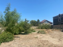 Sahanda munasib qiymete  torpaq satisi, -1