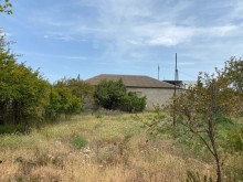 EL suvalan restorani arxasinda topraq almaq, -1