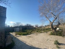 Şaganda 26 sot torpaq almaq, -7