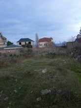 buzovnada torpaqin qiymeti, -1