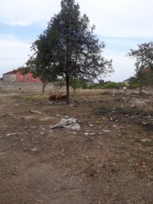 Satılır Torpaq, Nizami.r, 8-ci kilometr, Qara Qarayev.m-3