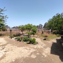 suvelanda torpaq elanlari, -6