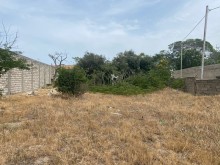 merdekanda torpaqin qiymeti, -1