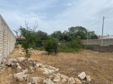 merdekanda torpaqin qiymeti, -3
