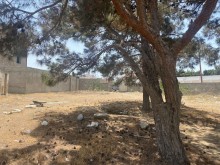 shuvlanda torpaq  ev tikmek ucun, Xəzər.r, Şüvəlan-5