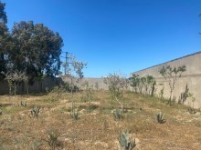 Buzovna Merdekan yolunda "Caravella" restorani ile uzbeuz torpaq satilir, -8