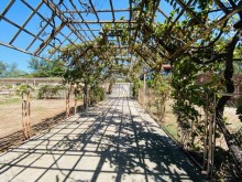 Sahanda kohne bag evi satilir 32 sot topraq sahesinde, -4