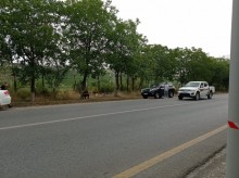 shamaxida torpaq satilir . təcili, -1