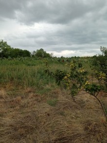 shamaxida torpaq satilir . təcili, -7