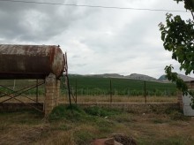 shamaxida torpaq satilir . təcili, -8