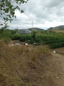 shamaxida torpaq satilir . təcili, -9