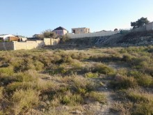 novxanida denize yaxin 30 sot torpaq satilir, -1