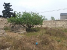 merdekanda torpaq sahesi 11 sot qaranqus terefde, -7