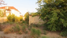 novxanida torpaqlarin satisi alqi satqisi 17 sot, -6