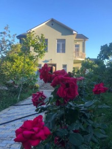 novxanida sariqaya baglarinda heyet evlri, -2