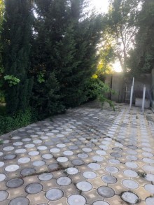 novxanida sariqaya baglarinda heyet evlri, -3