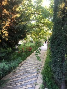 novxanida sariqaya baglarinda heyet evlri, -5