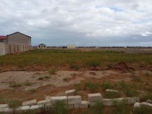 Buzovnada torpaq saheleri alqi saqtisi, -1