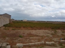 Buzovnada torpaq saheleri alqi saqtisi, -5