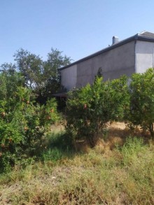Sarayda torpaq ev alqi satqi ofisinden teklif, -16