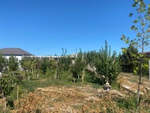 buzovnada 36 sot torpaq satilir, -5