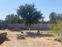 Merdekanda torpaq saheleri Qosa Qala terefde, -3