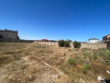 suvelanda torpaq  almaq hacimovlanda, -5