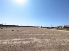 mehemmedi zabrat yolunda 10 sot kupcali torpaq, -1
