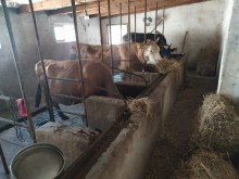 savxoz ramanida heyet evi almaq, -16