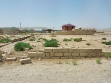 pirekeskulde torpaq sahesi, -1