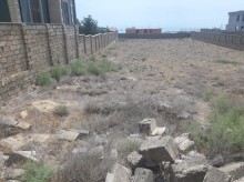 Badamdar 3-cü massivdə 15 sot torpaq sahəsi, -9