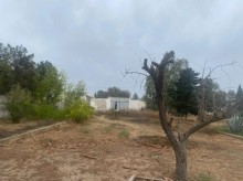 "Encirlik" market ile uzbeuz "H.Z.Tagiyev" kucesinde torpaq almaq, -2